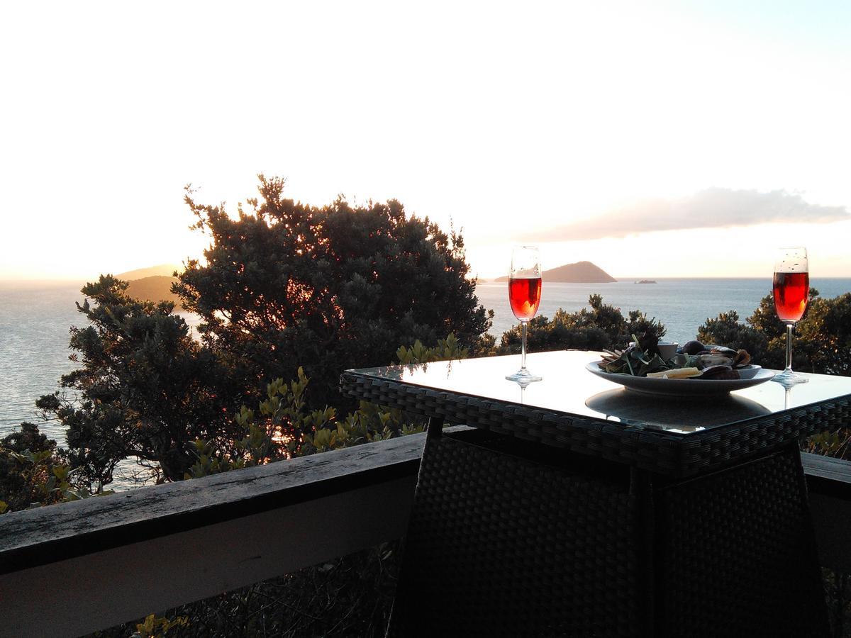 Island View Experience Villa Coromandel Kültér fotó